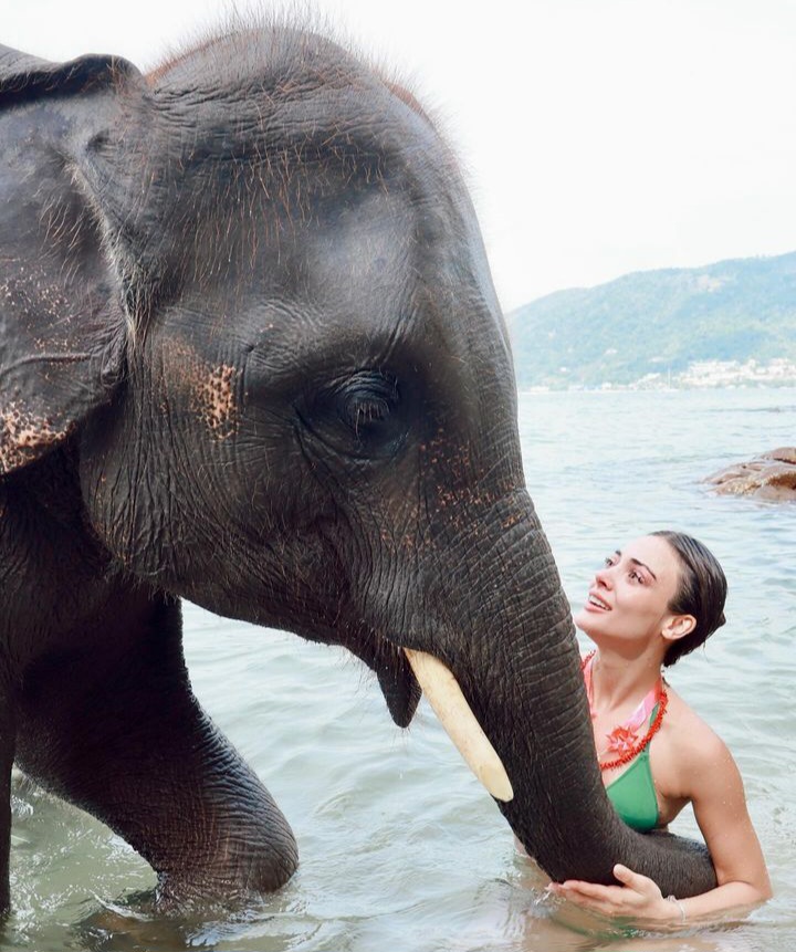 Rabia Soytürk Filler ile poz verdi